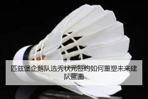 pi-zi-bao-qi-e-dui-xuan-xiu-zhuang-yuan-qian-yue-ru-he-zhong-su-wei-lai-jian-dui-lan-tu-2-600.jpg